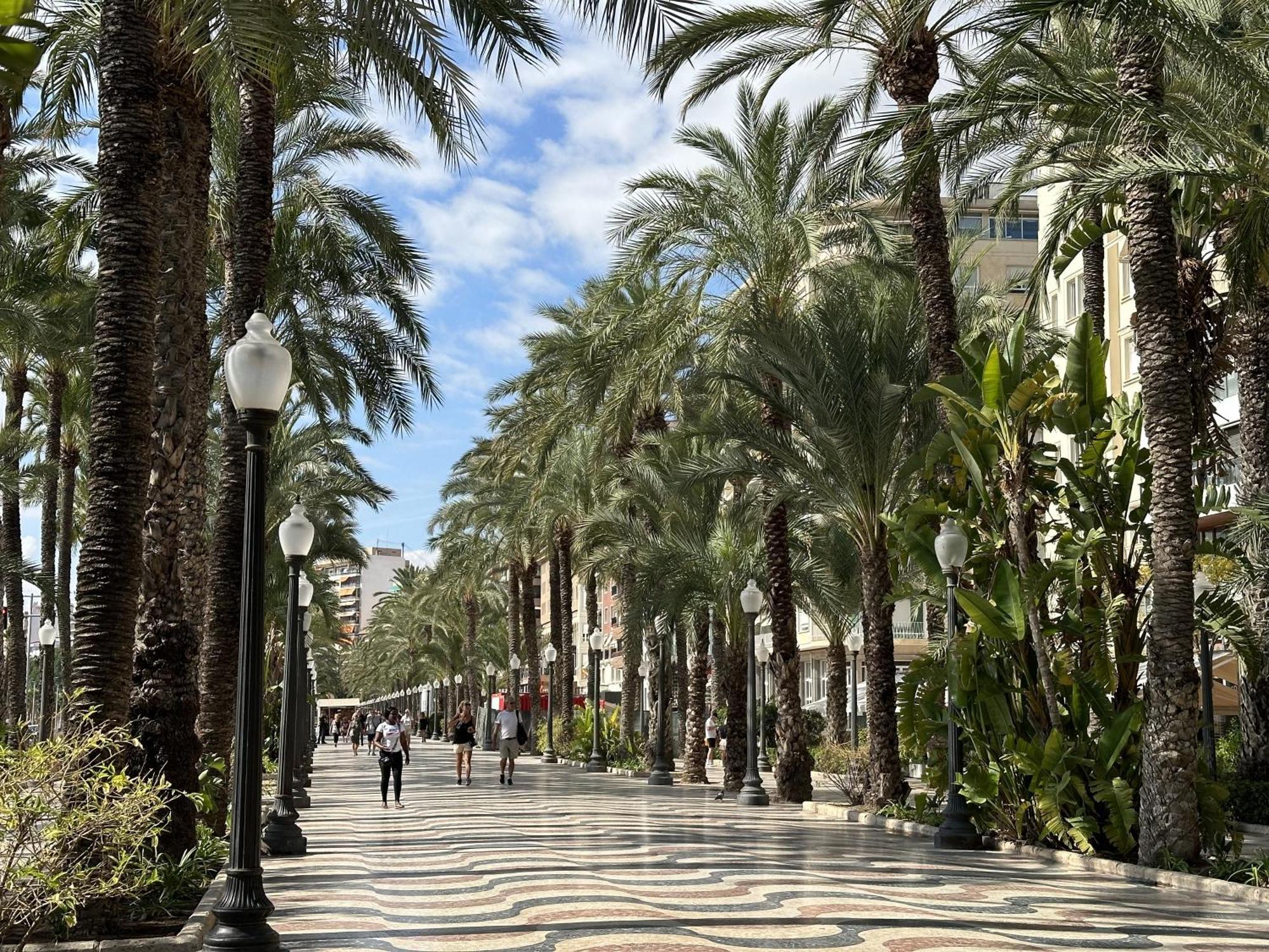 Canalejas Apartment - Alicante City Exterior foto